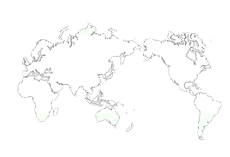 Exports and Imports Division of NSV, Naviso Sales and Marketing